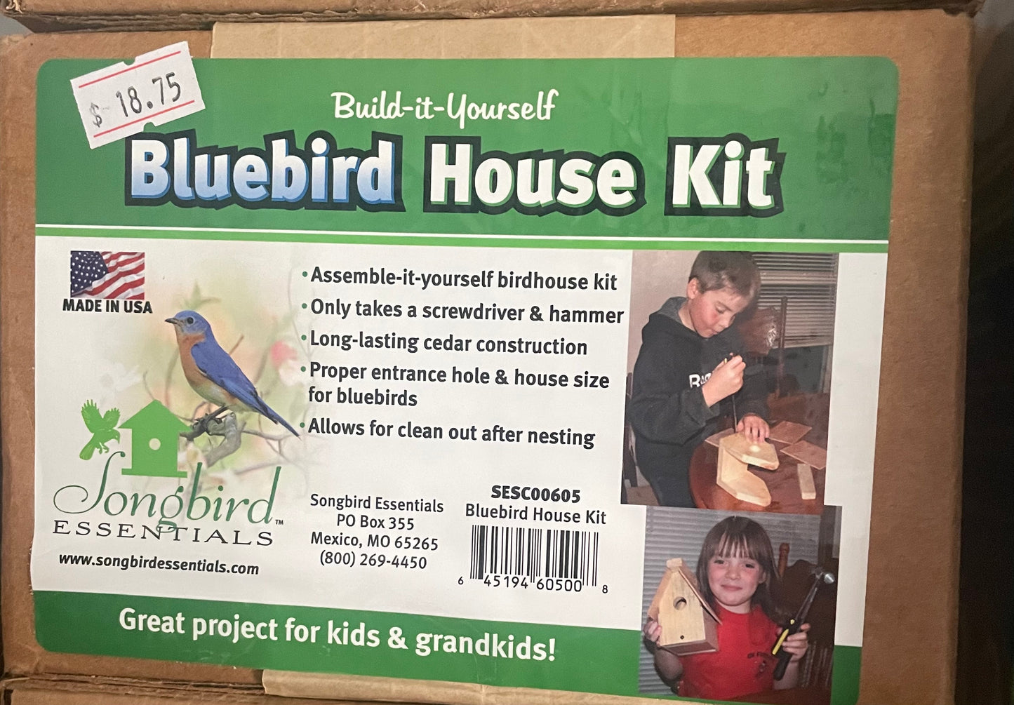 Blue bird house kit
