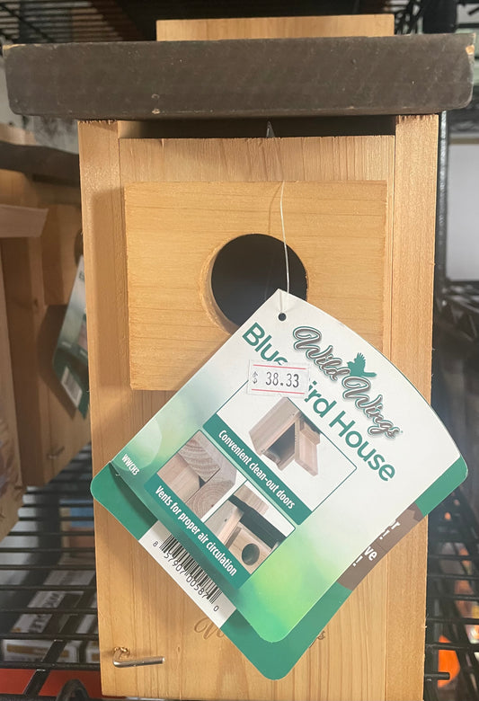 Blue Bird House