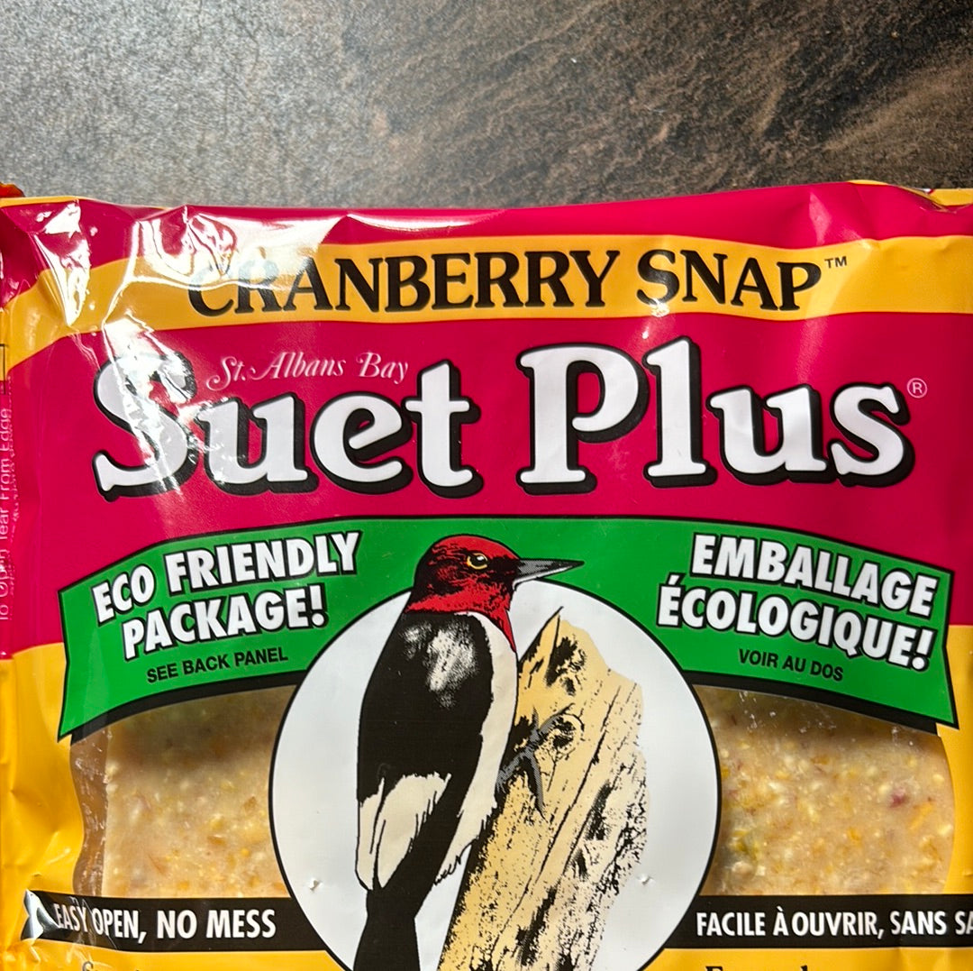 Cranberry Suet Cake
