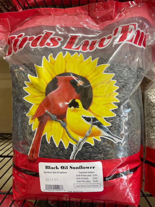 Black Oil Sunflower